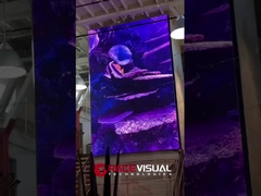 سلسلة BUD P2.5mm